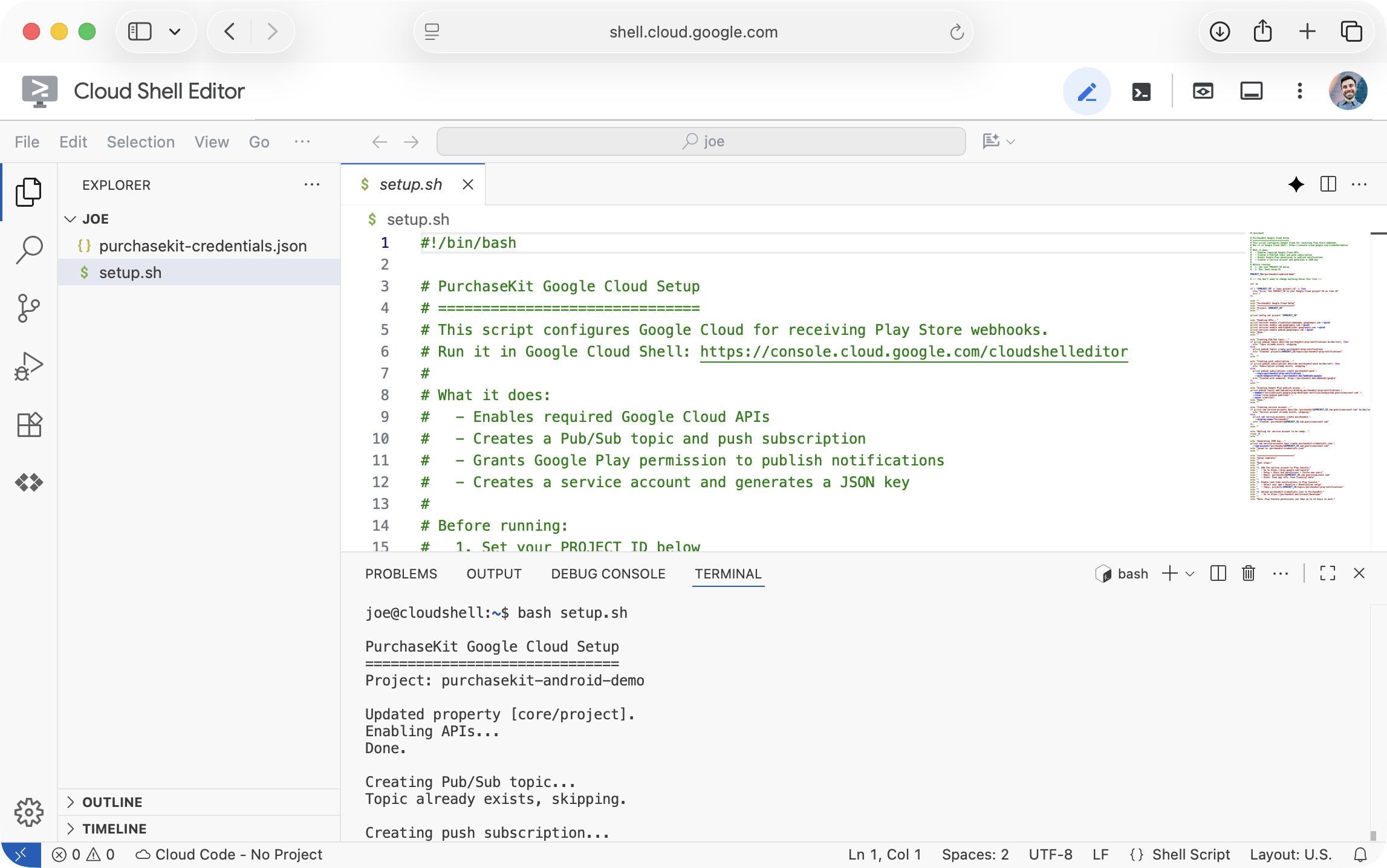 Google Cloud Shell Editor